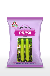 Bottle Gourd Priya
